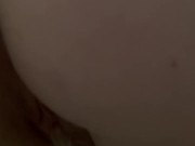 Nelli had to go real bad! (Piss relief) 6/16