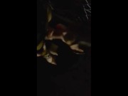 【個人撮影】イチャイチャしてたら急にフェラ/イラマ/素人/巨乳/美乳/中出し/ハメ撮り/喘ぎ声/美女/日本人av/高速ピストン/アクメ/激イキ/生ハメ/個人撮影/大学生/中イキ/バック - Screenshot 8 of 16 - 素人