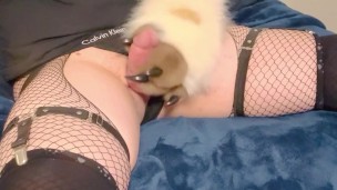 Stupid teen furry jacks off with paws and almost gets caught