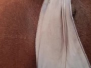 SNIFF My DIRTY PUSSY and ASSHOLE Daddy - It's So SMELLY and CHEESY for You 14/16