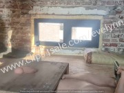 White socks trample 1/16