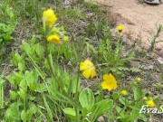 I wanted to pee in the park on the lawn 13/16