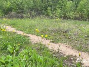 I wanted to pee in the park on the lawn 2/16