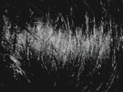 Big Booty Latina Deepthroats Big Dick 15/16