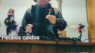 Música para tys momentos - Pétalos Caidos