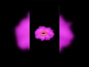 Hot indian bhabhi sexy hot with boyfriend sexy boobs videos 1/16