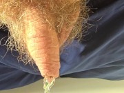 Pissing at home 4/16