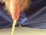 Pissing at home 8/16