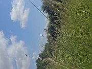 Kneeling and pissing in a beautiful field on a sunny day 3/16