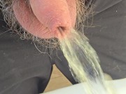 Pissing