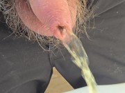 Pissing 8/16