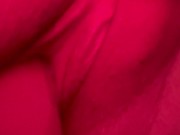 My thrusting toy 💦 1/16