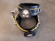 Everything You Need To Know About The DG-Lab Pawprints And App 15/16