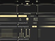 DG-Lab Coyote 3 App And How To Use For Solo Play 11/16