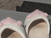 Cute 🐷🐽🐷 10/16