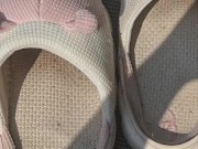 Cute 🐷🐽🐷 11/16