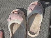 Cute 🐷🐽🐷 12/16