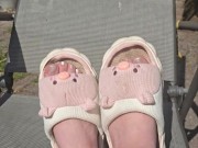 Cute 🐷🐽🐷 3/16