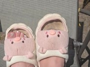 Cute 🐷🐽🐷 4/16