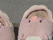 Cute 🐷🐽🐷 5/16