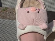 Cute 🐷🐽🐷 9/16