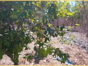 Wifey is beautiful stripping fully nude in public park 14/16