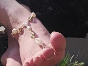 Do you love shells too ? 10/16