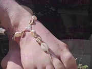 Do you love shells too ? 11/16