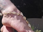 Do you love shells too ? 3/16