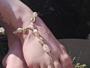 Do you love shells too ? 4/16