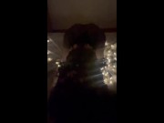 CaraxJack__ This slut in tights is sucking my cock, I had to fuck her! 🍑 6/16