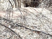 Hiking led to a quickie in the woods - came on my ass 1/16