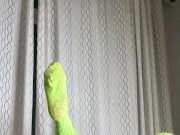 Squirting on big black cock 12/16