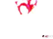 Taylor Nicole is an ASStronaut turned alien 2/16