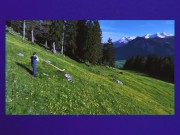 Pump - S3XUS - Brad Newman - Melissa Stratton 1/16