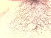 My husband's best friend fucks me and takes off the condom and I was ovulating. I think I got pregna 9/16