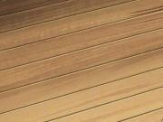 Two Big Boobed Beauties Compete to See Who Can Cum More 13/16