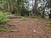 Pissing, She-Wee and Squat Challenge 6/16