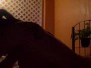 Sex in the jacuzzi, she likes it hard 3/16