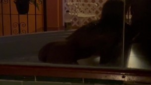 We start in bed and she ends up putting it in her anus.