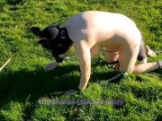 VOST engl - Animalisation 5 dans le jardin pour cette femelle inférieure nue. 10/16