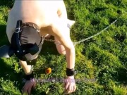 VOST engl - Animalisation 5 dans le jardin pour cette femelle inférieure nue. 15/16