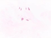 Frieren cosplay fisting master multi creampies 16/16