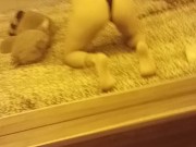 Ce faceți mie mie dor de iubitul meu așa că am.favug un video sal escit sa vina sa mă futaa 4/16