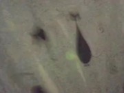 Wife cheats on her husband with his friends 1/16