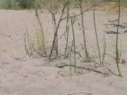 Beach Piss Naked 15/16