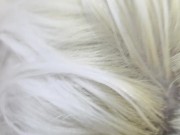 Some more help needed, dick was sucked! 14/16