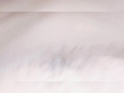 اجمل لقطات 🫠🤤 معسل milk 12/16