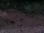 Just a couple being happy - vlog 12/16