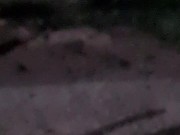 Just a couple being happy - vlog 15/16